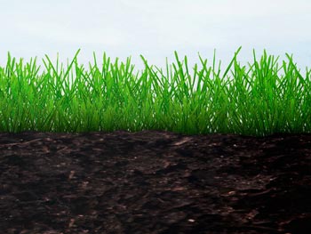 Clean Farm Soil